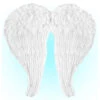 Engelsflügel Mit Weißen Federn 51x46cm