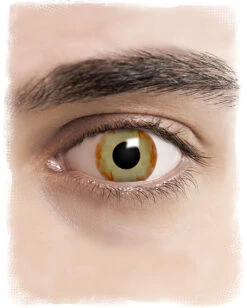 Infected Zombie Kontaktlinsen -Spooky Fun Günstiges Geschäft halloween kontaktlinsen infected horror sfx kontaktlinsen