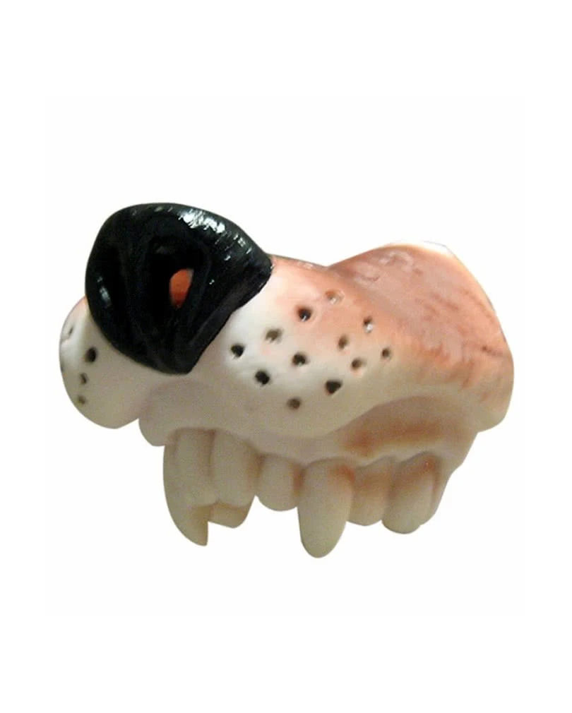 Hundeschnauze 1 Hundeschnauze