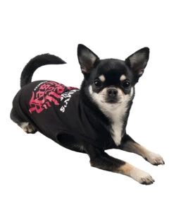 KILLSTAR Mommy's Hellraiser Hundeweste 7 KILLSTAR Mommy's Hellraiser Hundeweste -Spooky Fun Günstiges Geschäft killstar mommys hellraiser hundeveste killstar mommys hellraiser hundekostuem killstar fashion 52133 03