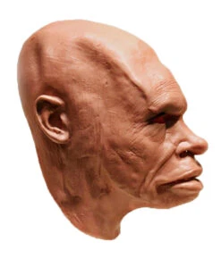 Neandertaler Schaumlatex Maske -Spooky Fun Günstiges Geschäft neandertaler schaumlatex maske steinzeitmensch latex maske neanderthal foamlatex mask 50345 03