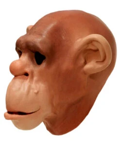 Schimpansen Schaumlatex Maske 7 Schimpansen Schaumlatex Maske -Spooky Fun Günstiges Geschäft schimpansen schaumlatex maske affenmaske tiermasken bild4 15361