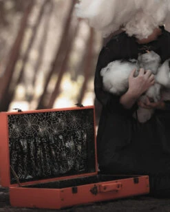 Spooky Pumpkin Vintage Koffer Orange -Spooky Fun Günstiges Geschäft spooky pumpkin vintage koffer orange liverly ghosts haunted hallows vintage trunk halloween merchandise und geschenke 54188 5