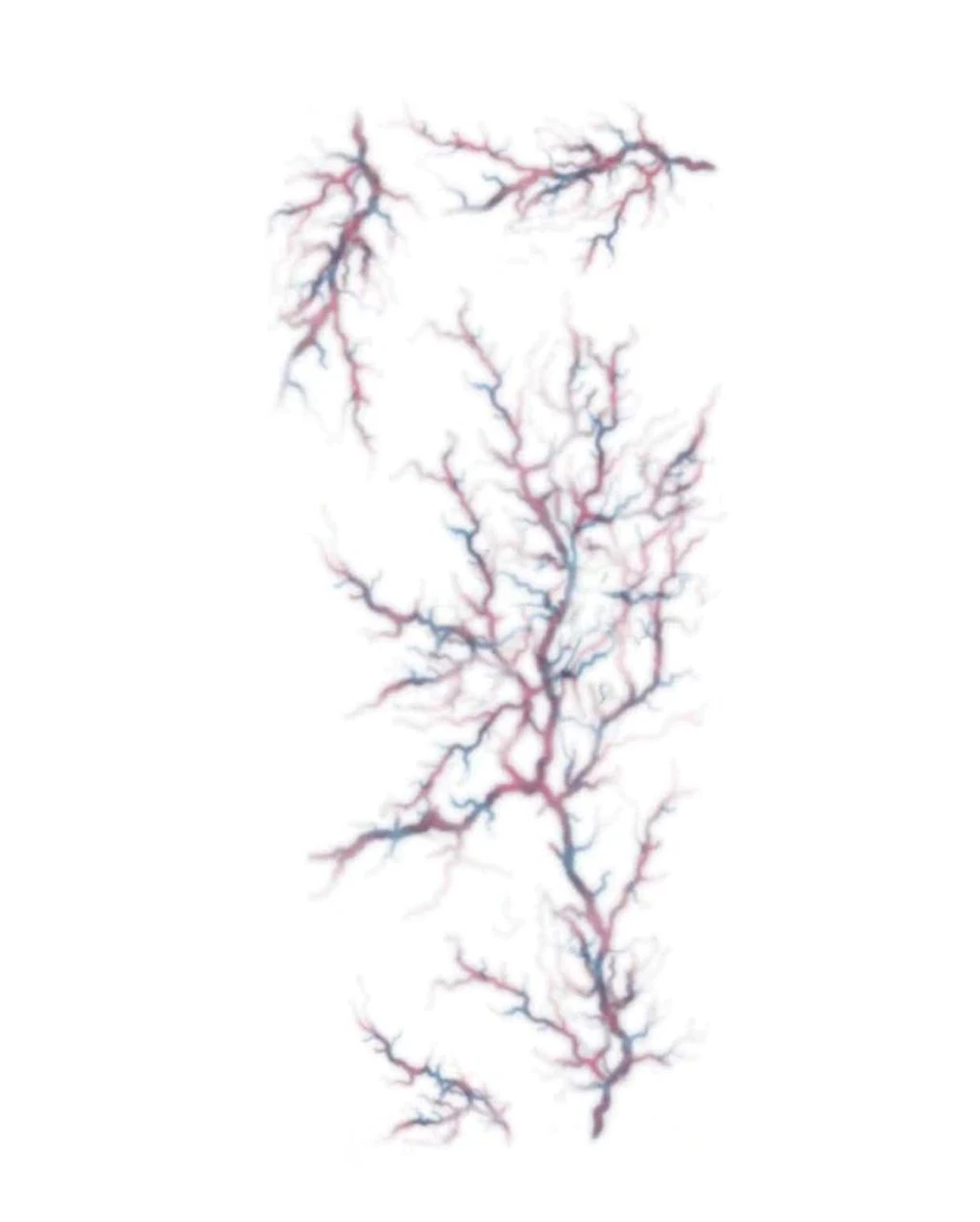 Klebetattoo FX Possessed Veins 1 Klebetattoo FX Possessed Veins