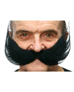 XXL Schnauzer Schwarz